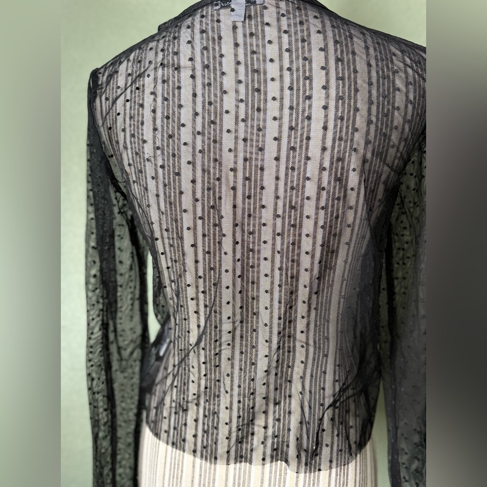 Sheer Buttoned Top - Picture 5 of 8
